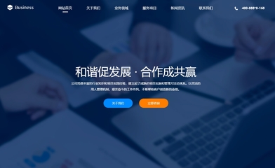 數(shù)字時代的基石 網(wǎng)站建設(shè)與計算機軟件開發(fā)的雙輪驅(qū)動